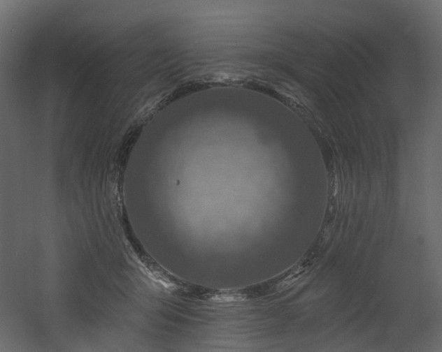 X0000060760415200511101145