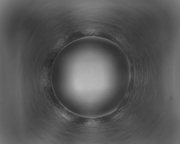 X0000060760416200511101145