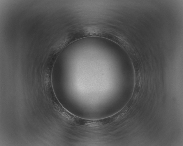 X0000060760417200511101145