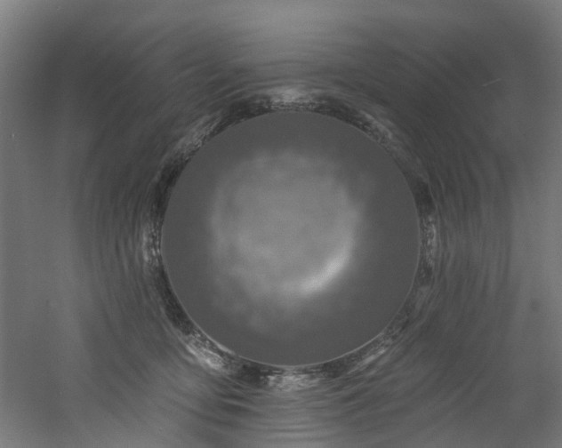 X0000060760419200511101145