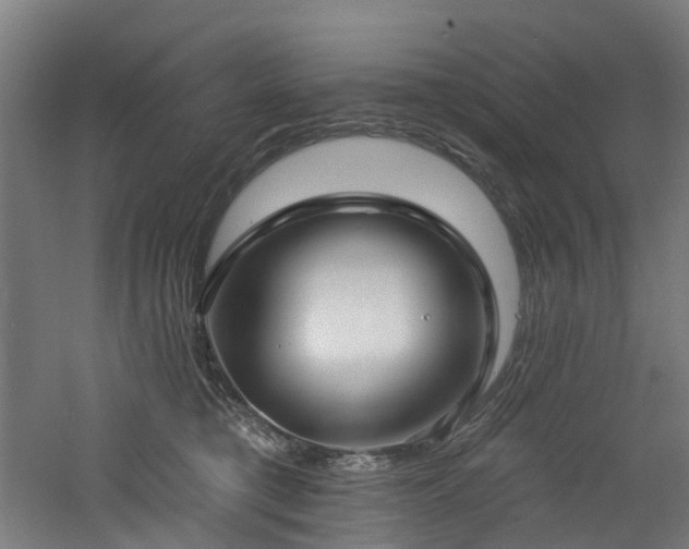 X0000060760421200511101145