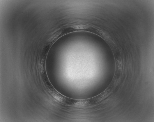 X0000060760422200511101145