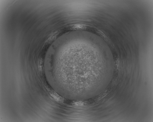 X0000060760423200511101145