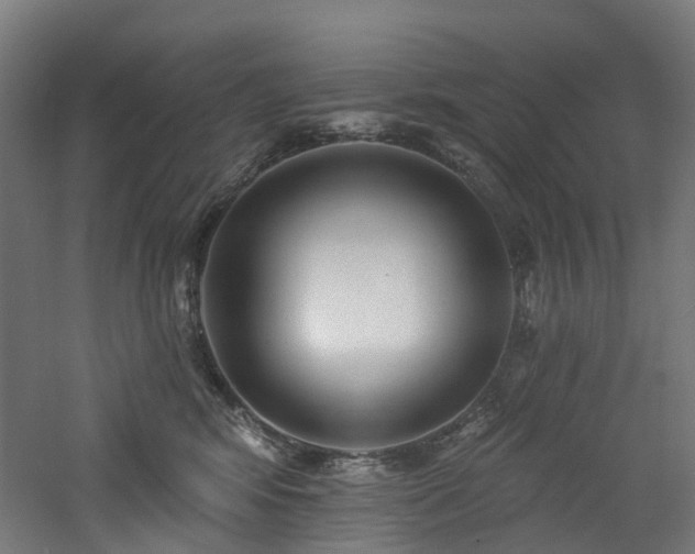 X0000060760424200511101145