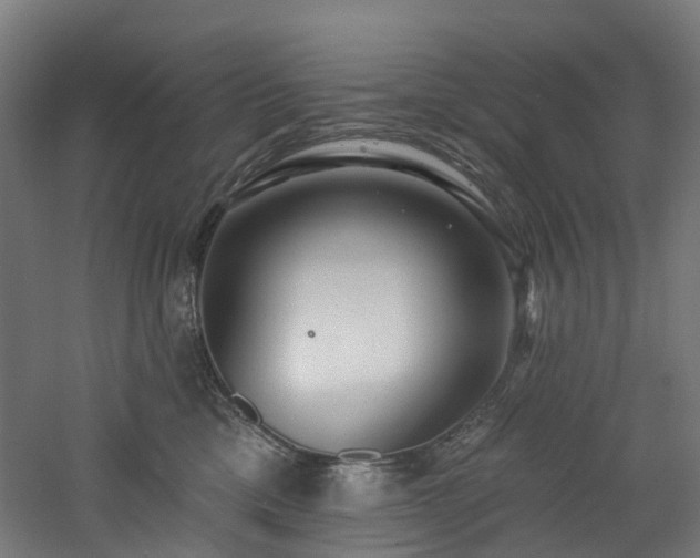 X0000060760425200511101145