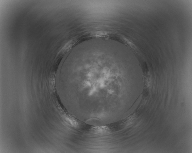 X0000060760427200511101145