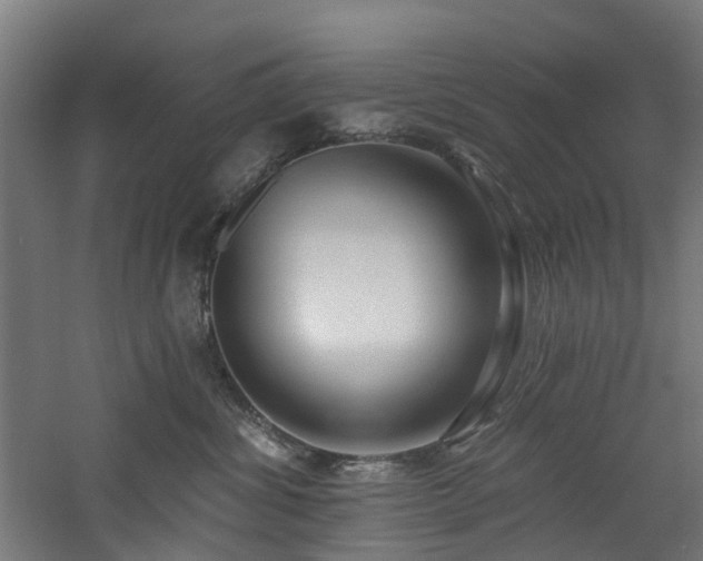 X0000060760428200511101145