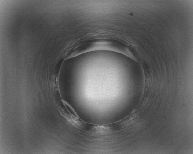 X0000060760429200511101145