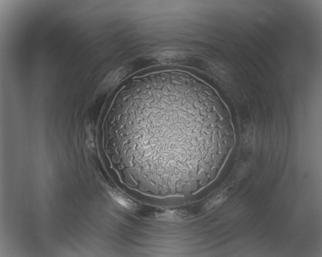 X0000060760430200511101145