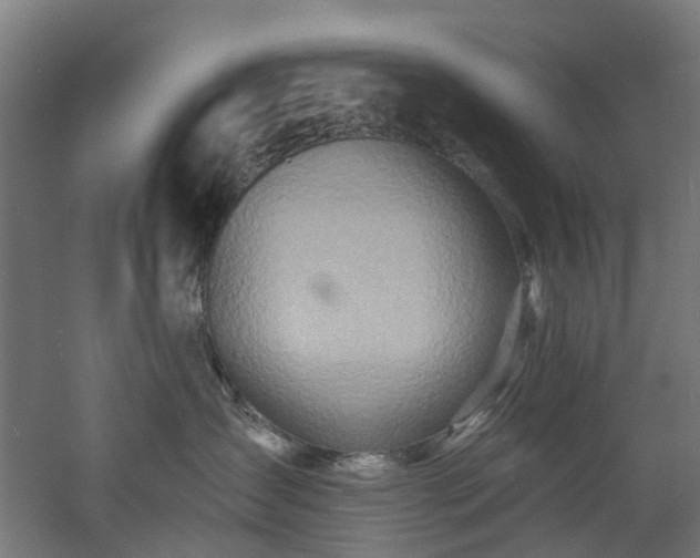 X0000060760431200511101145