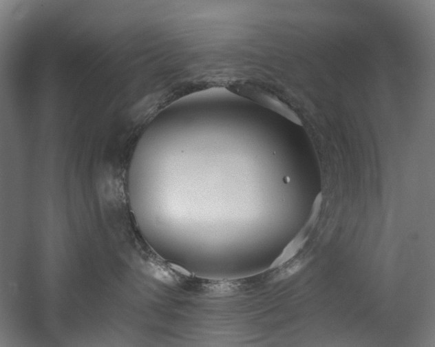 X0000060760432200511101145