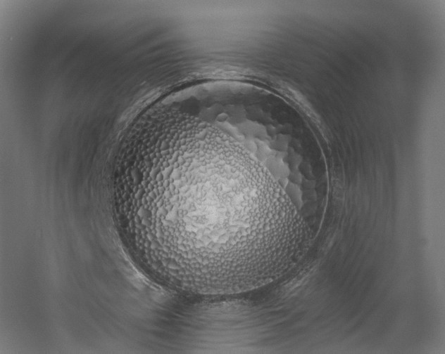 X0000060760433200511101144