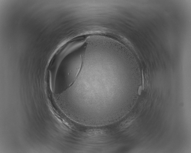 X0000060760435200511101144