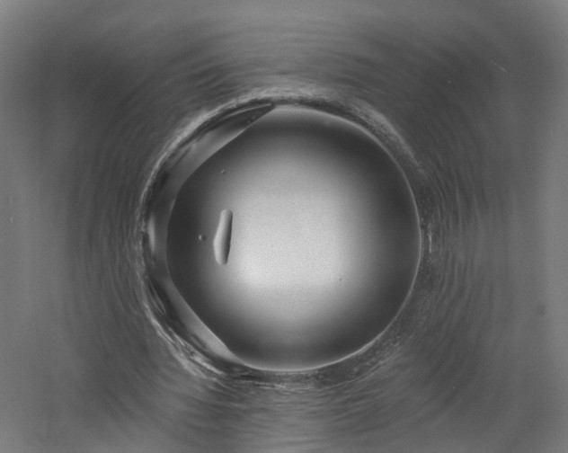 X0000060760436200511101144