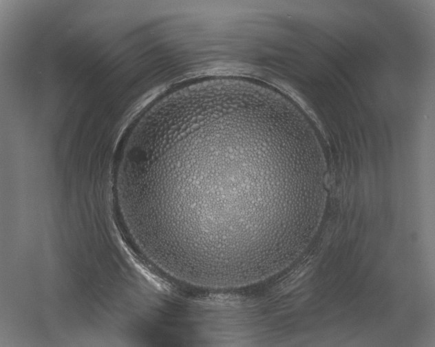 X0000060760437200511101144