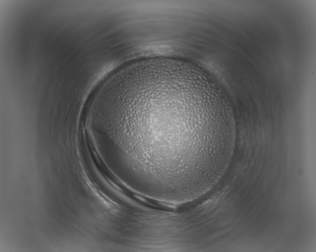 X0000060760439200511101144