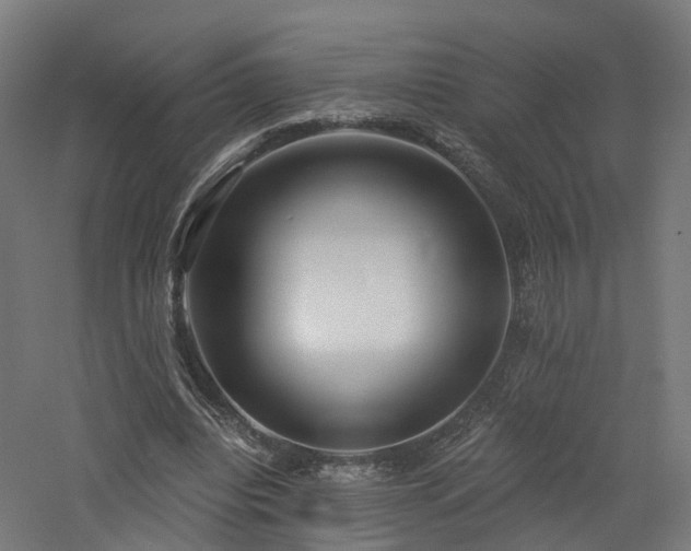 X0000060760440200511101144