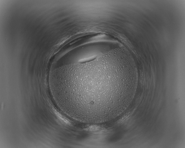 X0000060760441200511101144