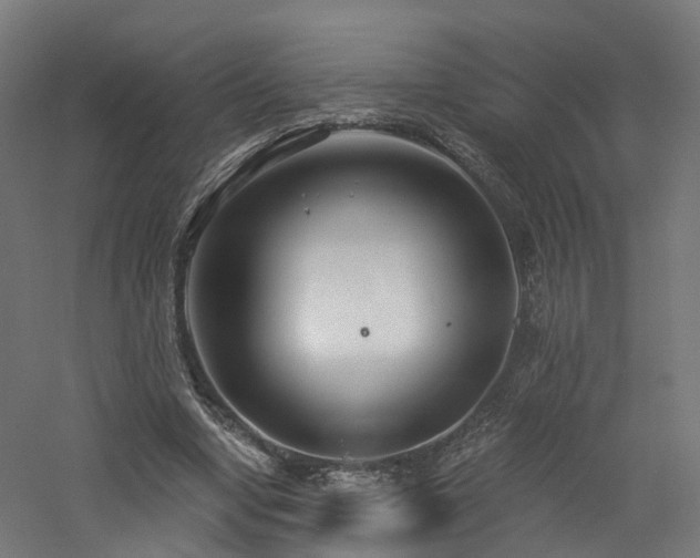 X0000060760442200511101144