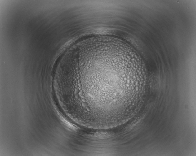 X0000060760445200511101144