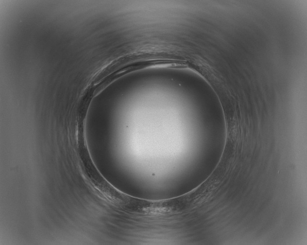 X0000060760448200511101144