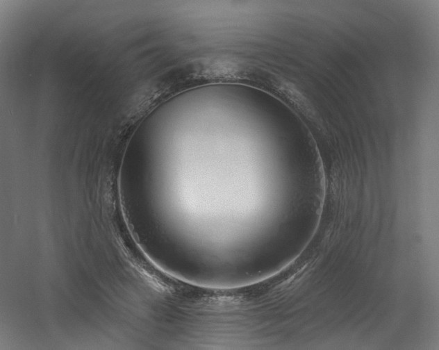 X0000060760449200511101144