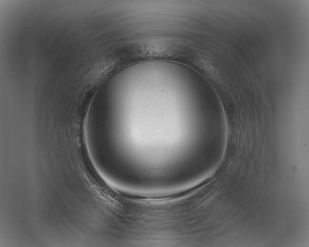 X0000060760450200511101144