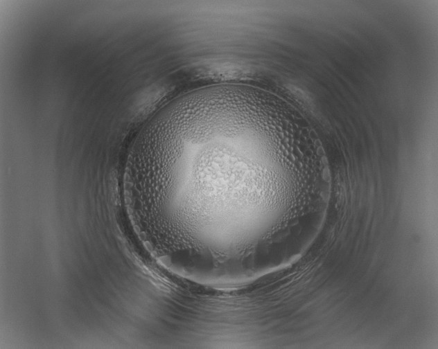 X0000060760453200511101144