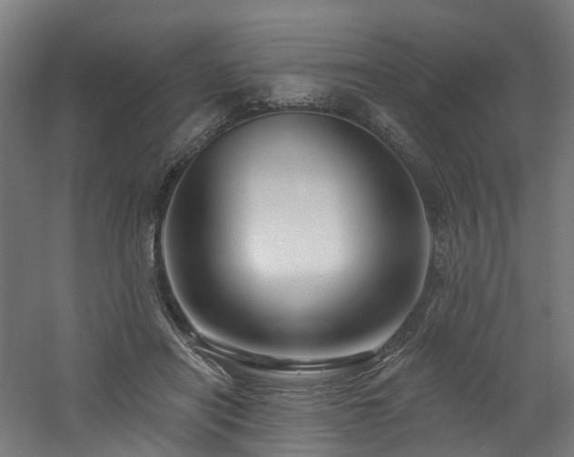 X0000060760454200511101144