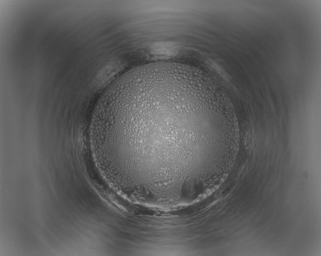 X0000060760455200511101144