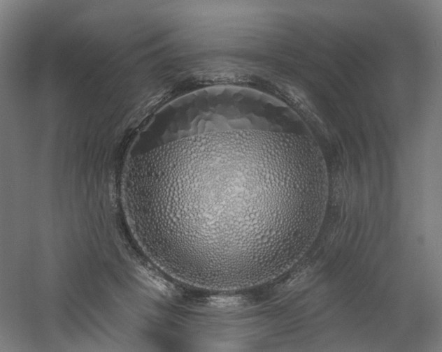 X0000060760457200511101144