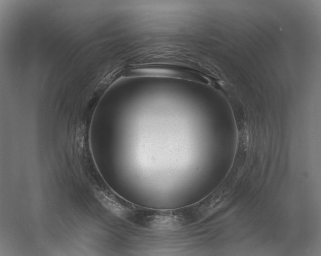 X0000060760458200511101144