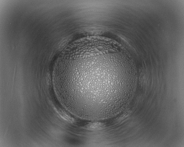 X0000060760459200511101144