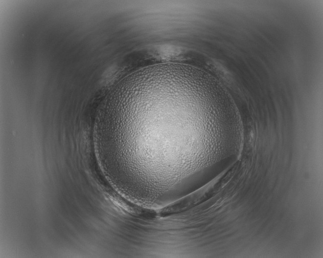 X0000060760461200511101144