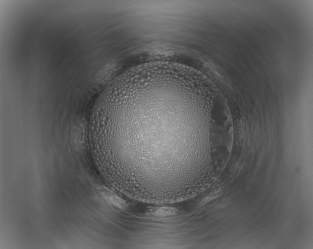 X0000060760463200511101144