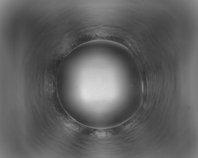 X0000060760464200511101145