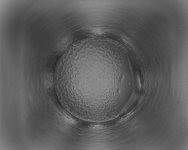 X0000060760467200511101145