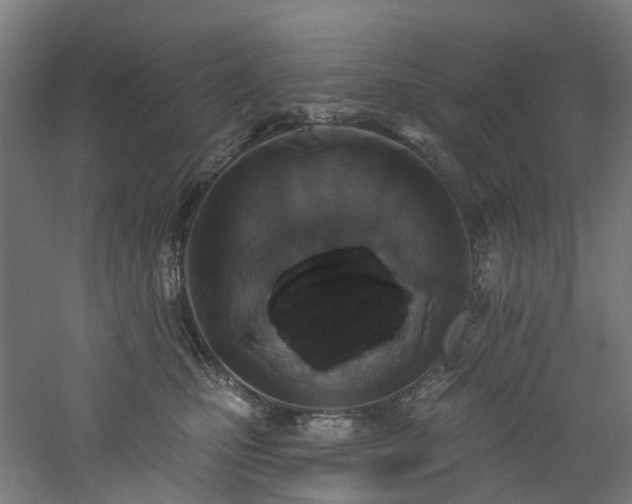 X0000060760471200511101145