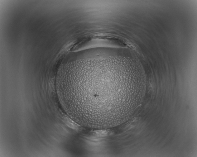 X0000060760473200511101145