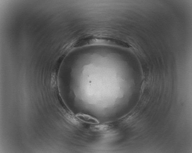 X0000060760478200511101145