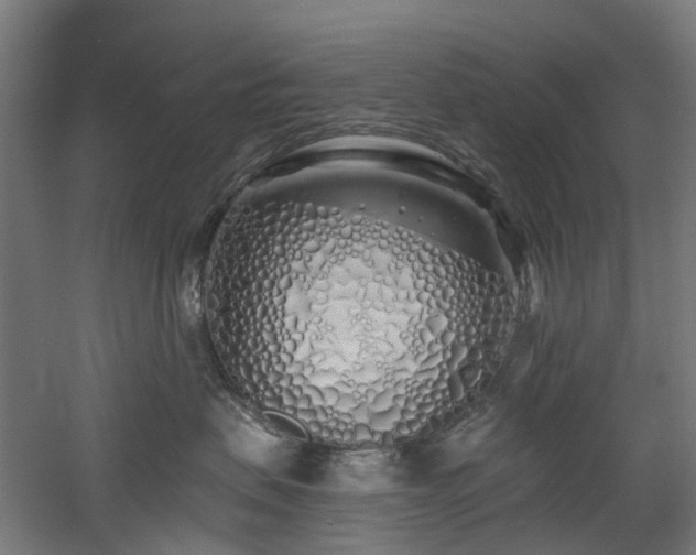 X0000060760479200511101145