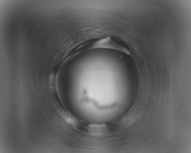 X0000060760480200511101145