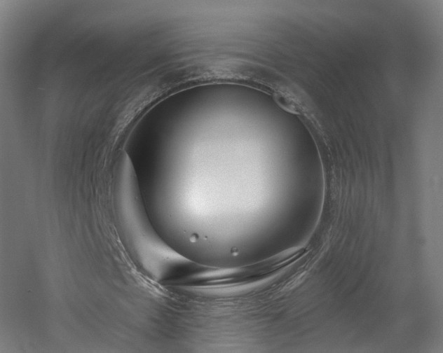 X0000060760481200511101144