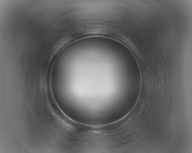 X0000060760482200511101144