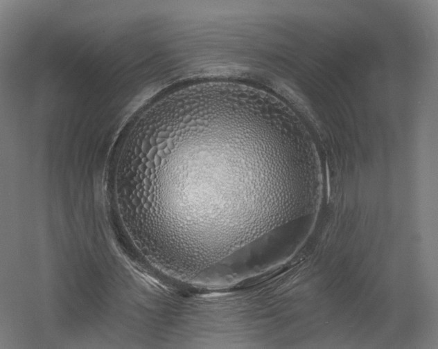 X0000060760483200511101144