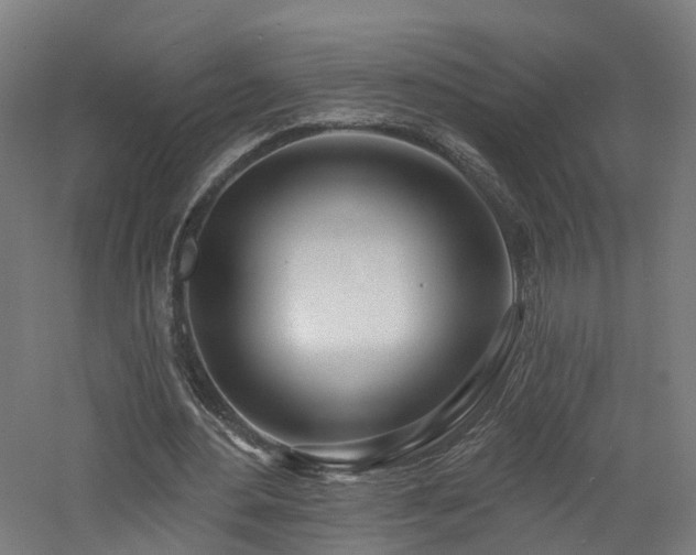 X0000060760484200511101144