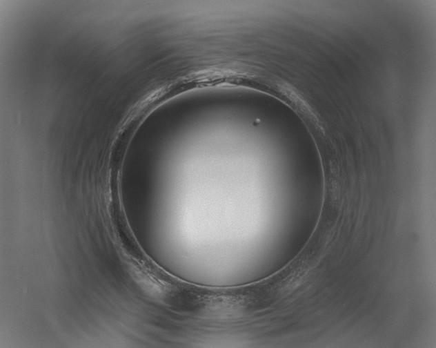 X0000060760486200511101144