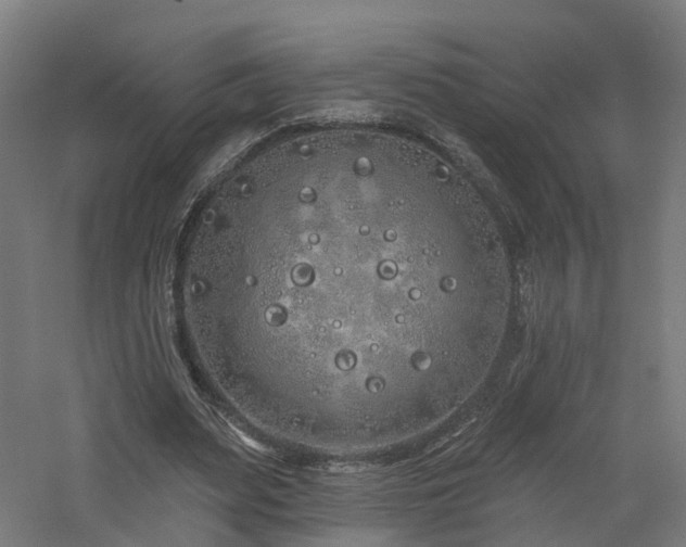 X0000060760487200511101144