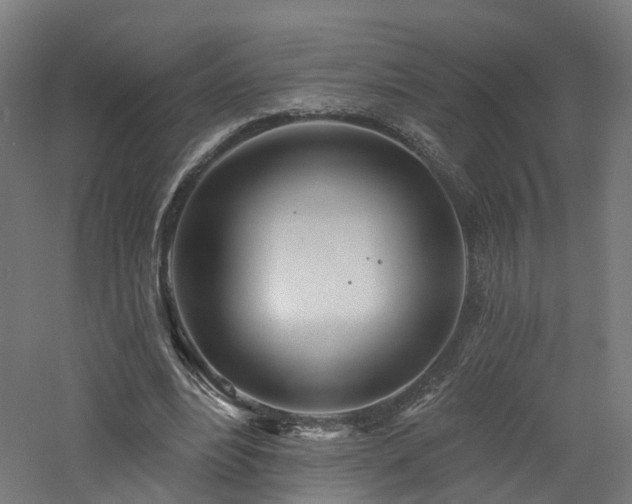 X0000060760488200511101144