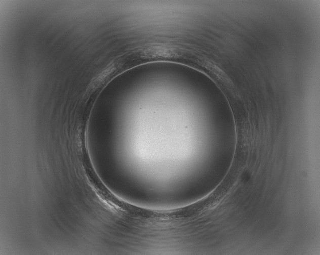 X0000060760489200511101144